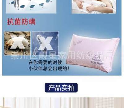 靓星酒店宾馆专供纯棉可水洗超柔软立体羽丝绒枕头枕芯特价厂家批发S-019